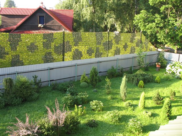 паркан із профнастилу між сусідами