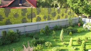 Забор из профнастила между участками: возможные трудности и их решение