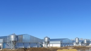 Рациональное проектирование сельскохозяйственных зданий 